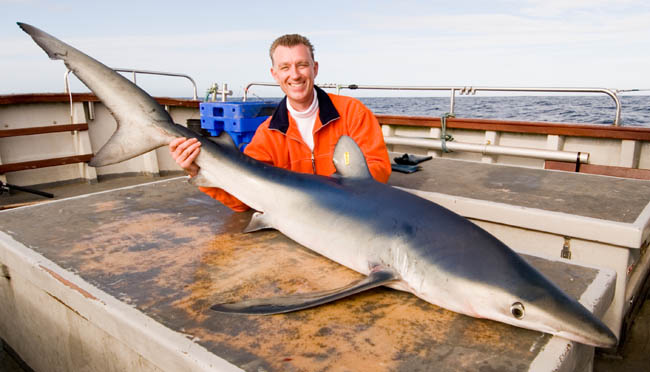 112 LB Blue Shark