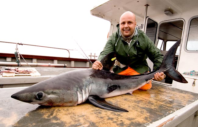 88 pound Porbeagle