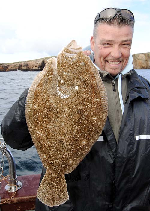 Ton & Brill 2