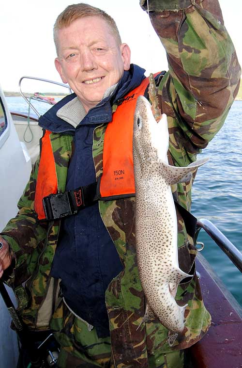 Dogfish