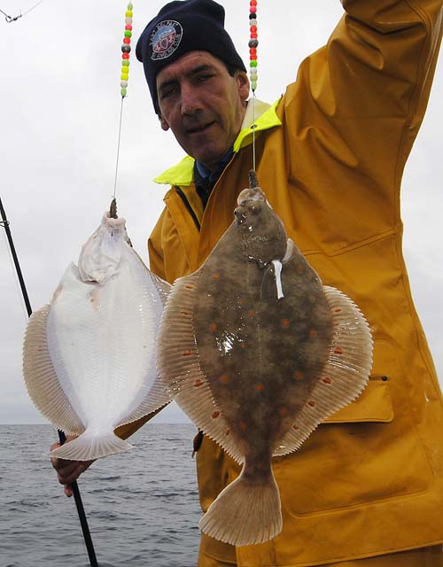 Double Plaice