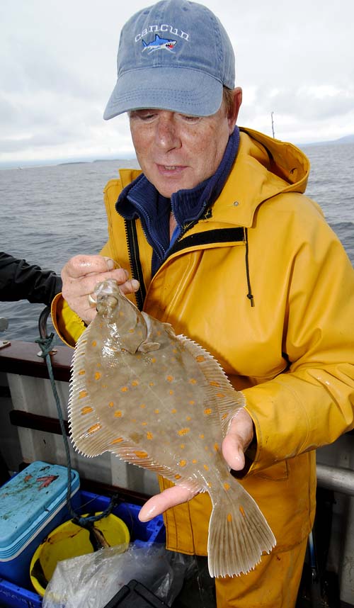 Plaice