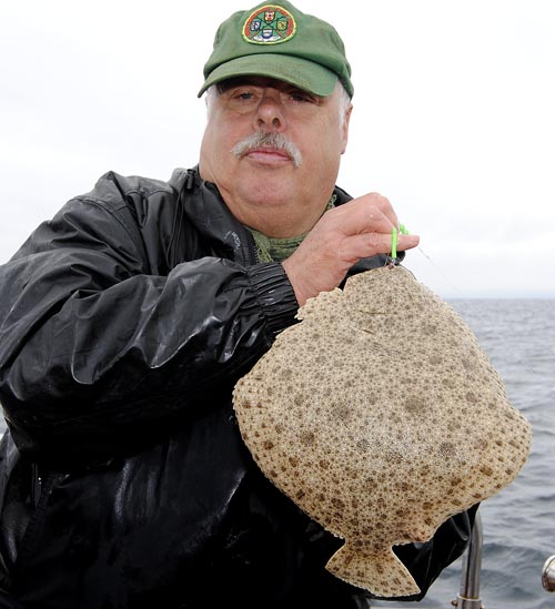 Turbot