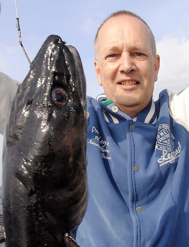 Conger
