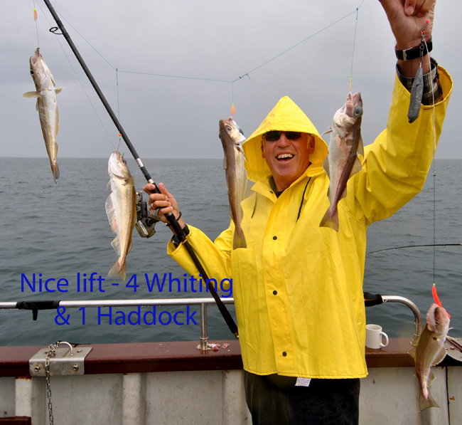 Haddock + Whiting Haddock + Whiting