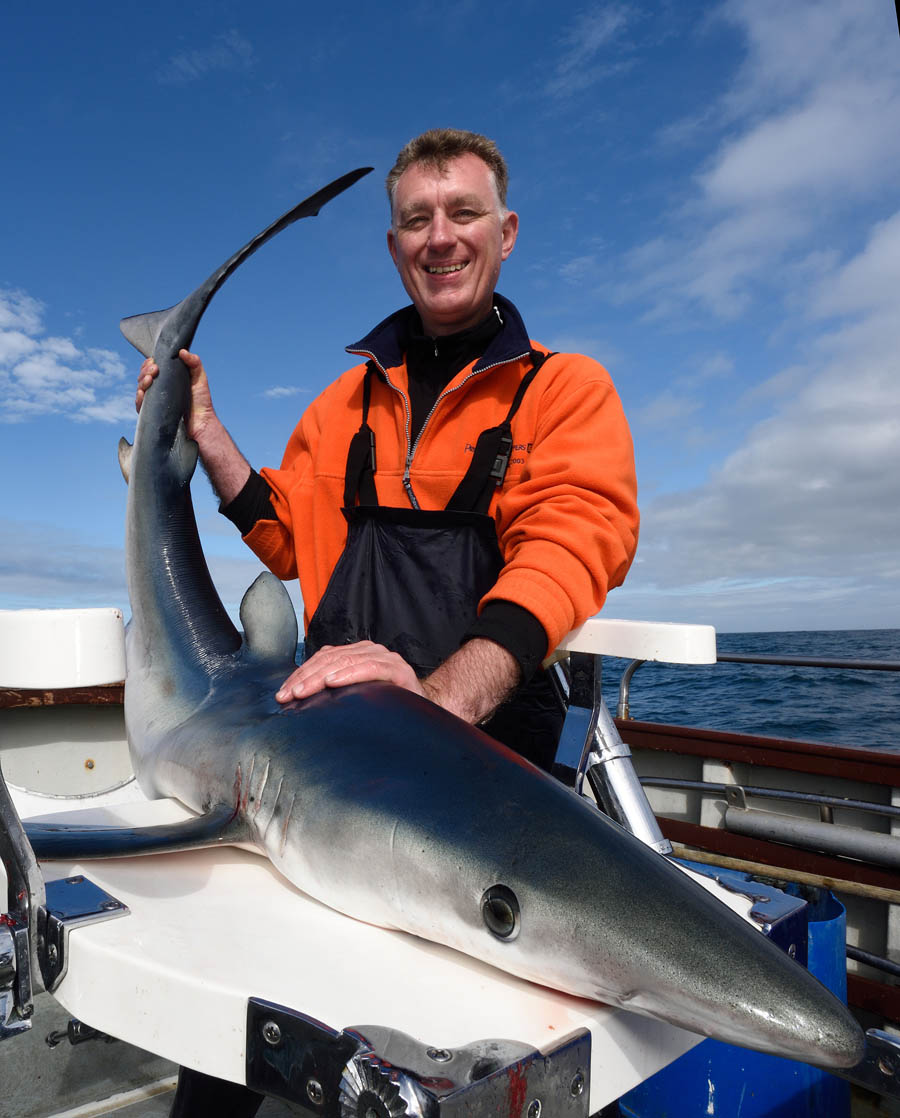 blue-shark blue-shark