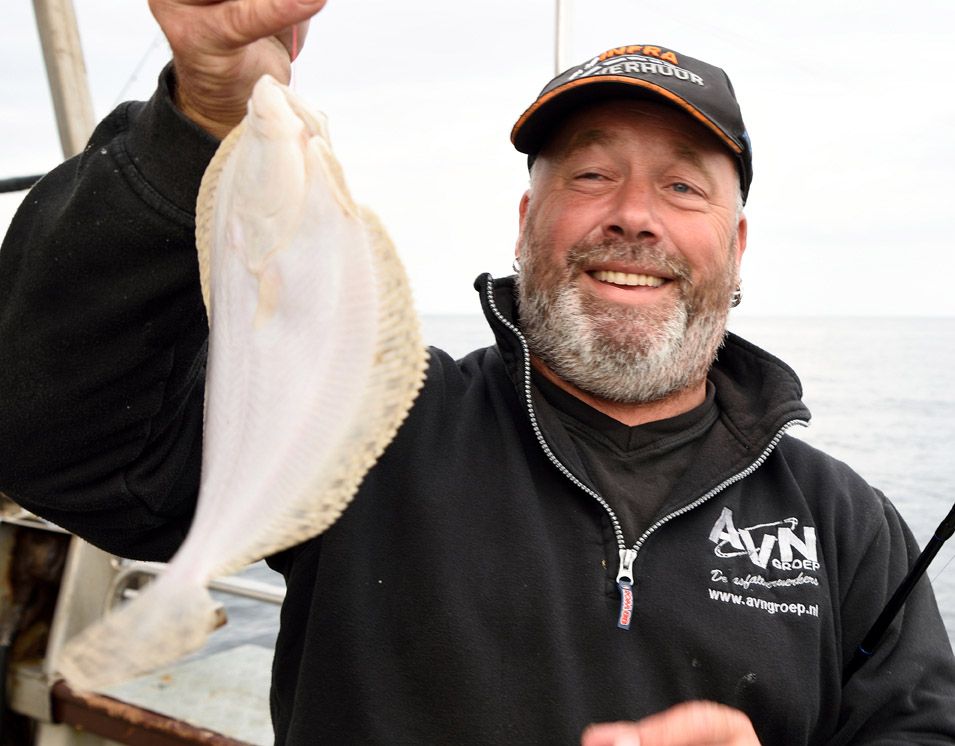 marcel-turbot marcel-turbot