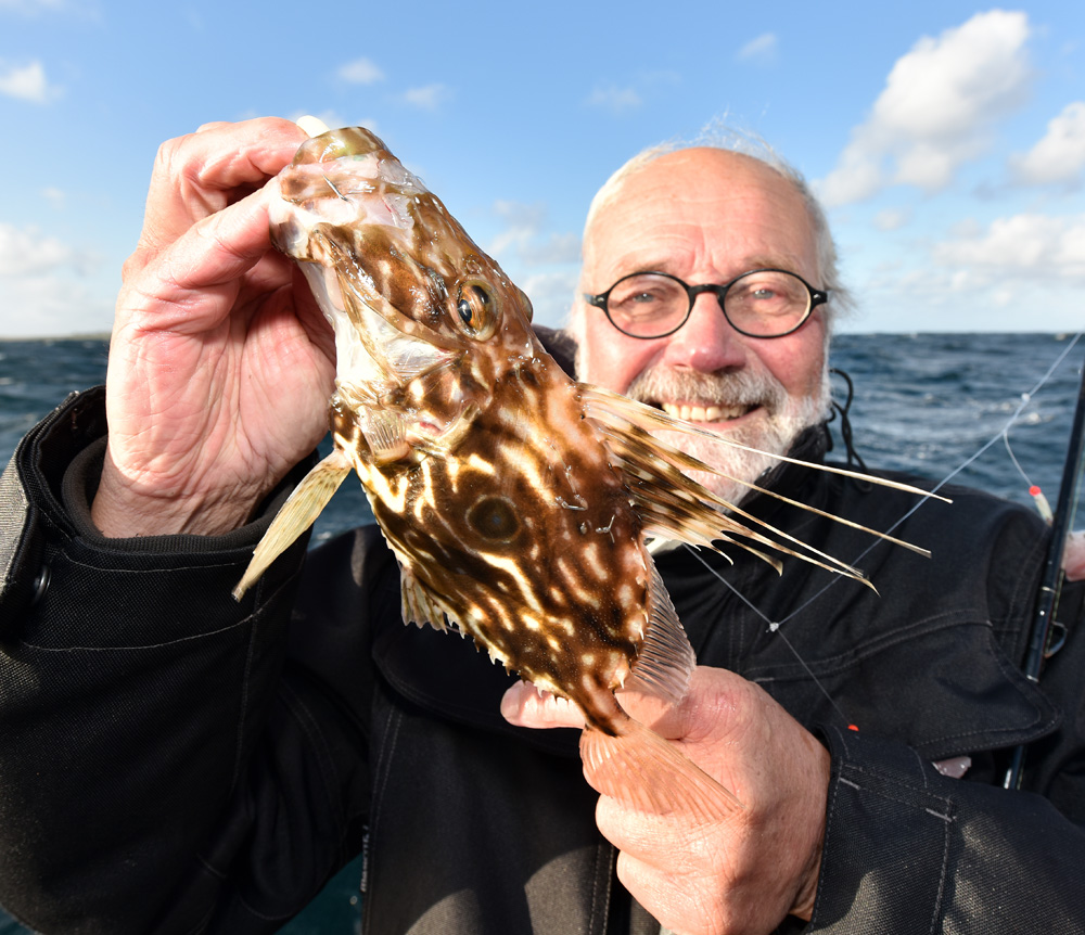 Piet & John Dory LR Piet & John Dory LR
